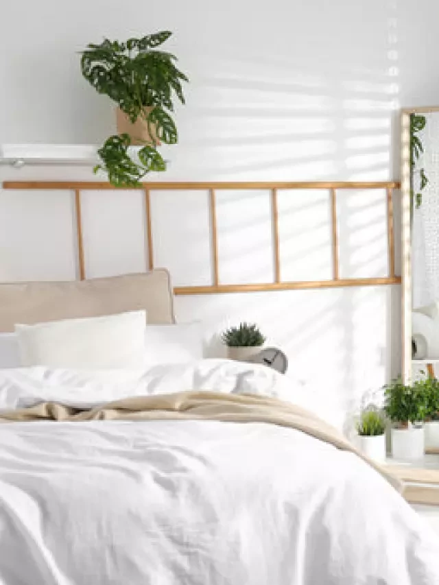   The Feng Shui of Mirror Placement: Enhancing Your Bedroom's Energy