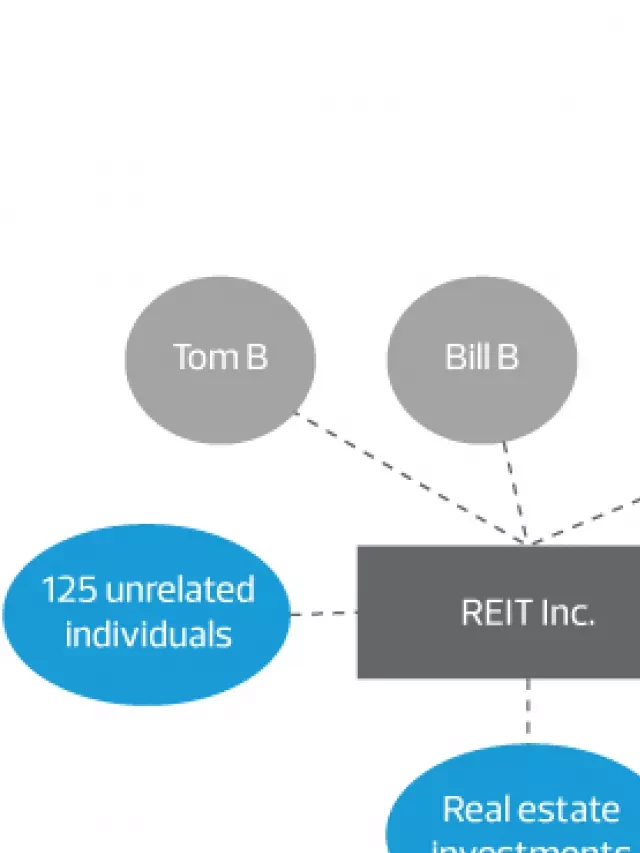   The Ownership Requirements of REITs: Overcoming Hurdles for Real Estate Investors