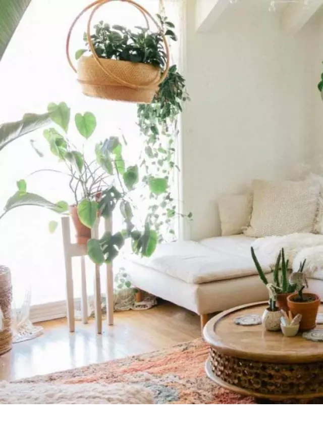   The Power of Feng Shui Money Plants: Attract Wealth and Prosperity to Your Home