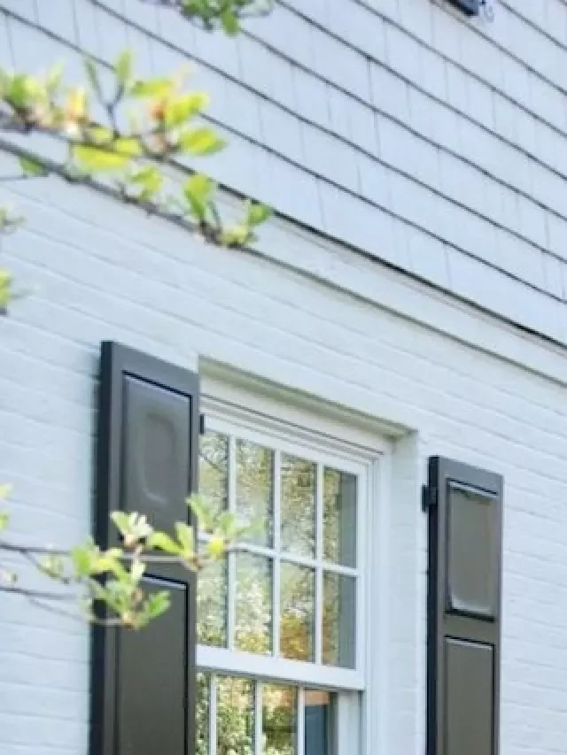   The Best White Exterior Paint Colors for Your Home