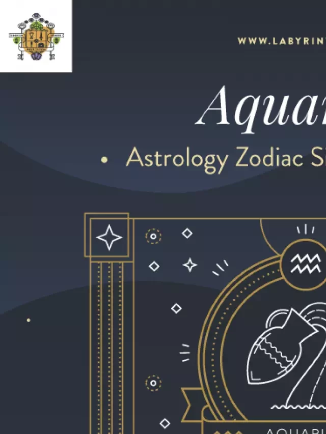   The Zodiac Sign Aquarius: Unveiling the Water Bearer's Persona