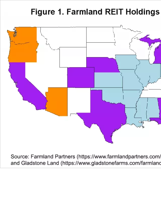   Understanding the Price Analysis of Farmland REITs: A Fresh Perspective