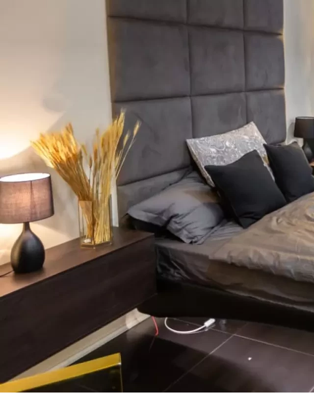   What is a Bachelor Apartment? All You Need to Know