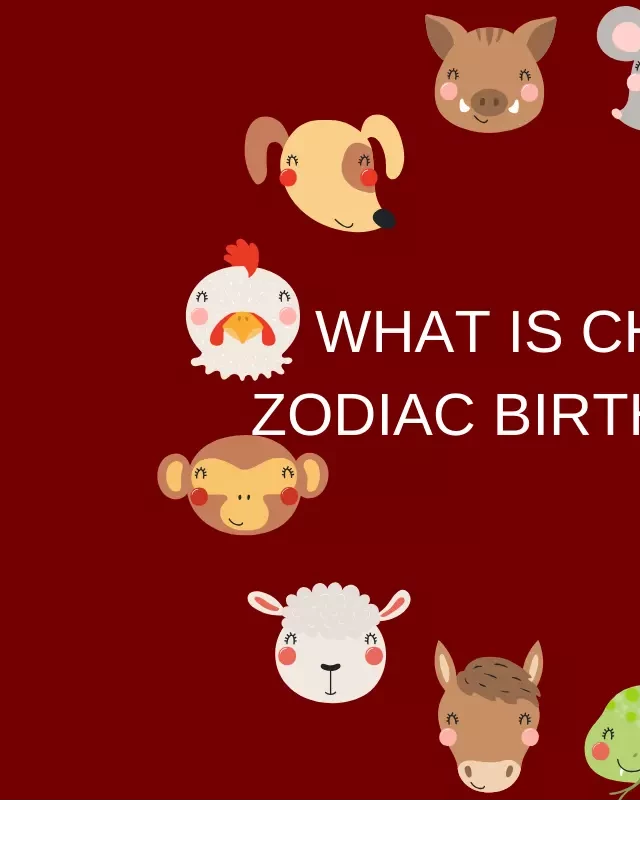   Unveiling the Enigma of the Chinese Zodiac Birth Year