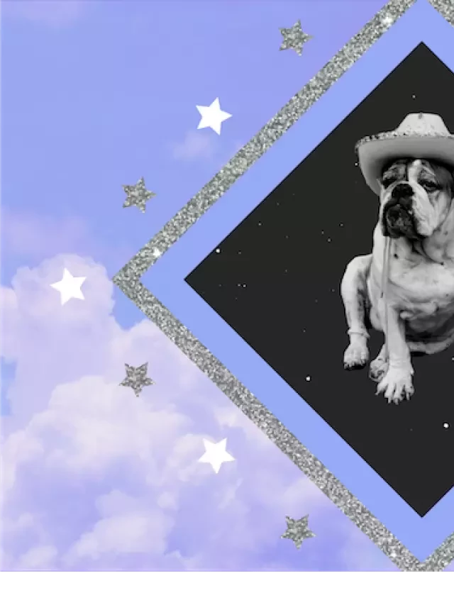   What Your Dog's Zodiac Sign Reveals About Their Personality