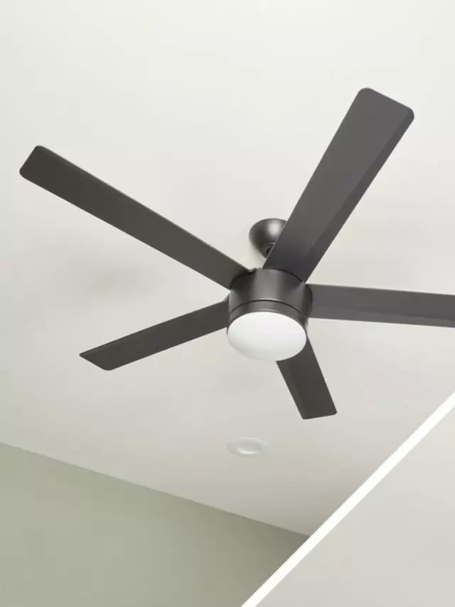   What Makes a Bladeless Ceiling Fan Tick?