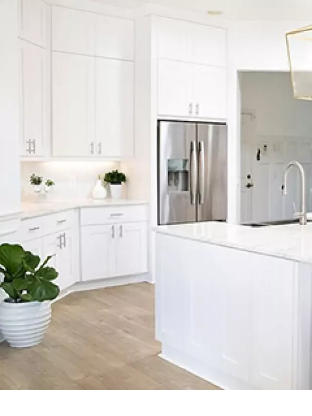   White Kitchen Cabinets: The Perfect Choice for Your Kitchen Design