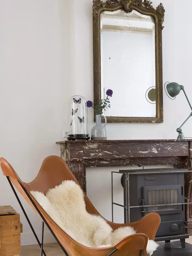   The Allure of the Butterfly Chair: A Design Classic Reimagined