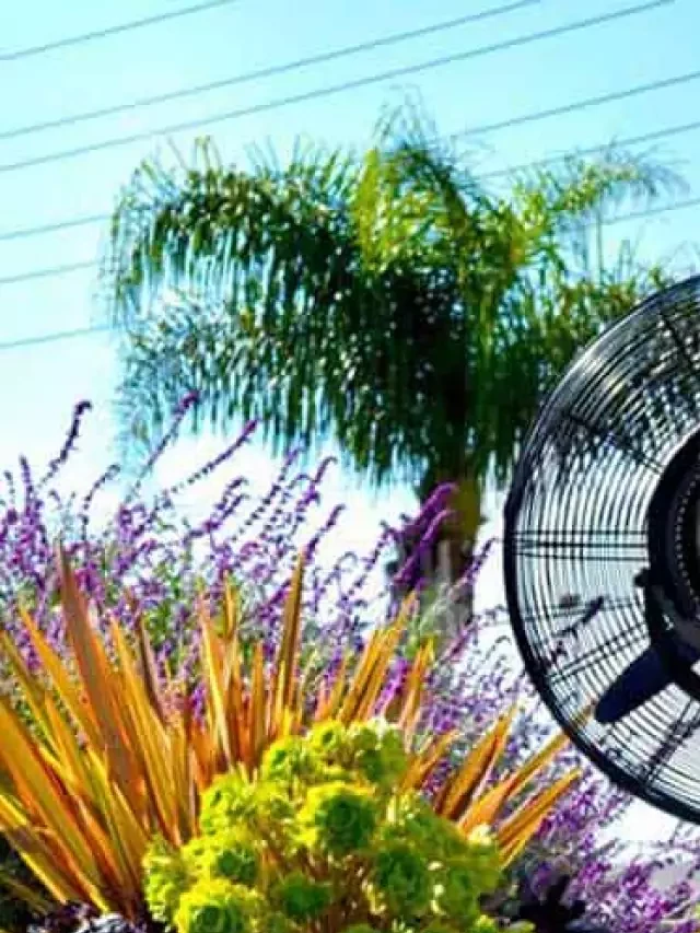   The Ultimate Guide to Outdoor Misting Fans: Stay Cool and Comfortable!