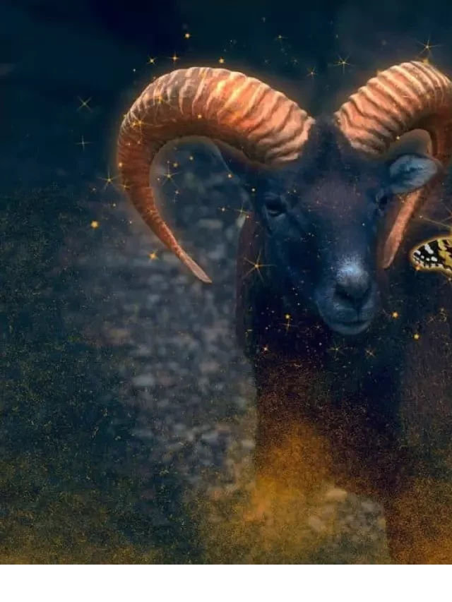   The Identity Behind the Capricorn Zodiac Sign: A Journey into Authenticity and Ambition