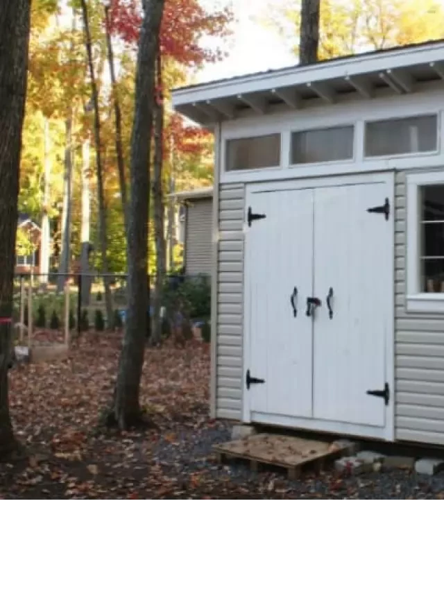   How to Build a Shed with a Slanted Roof [Step-by-Step Guide]