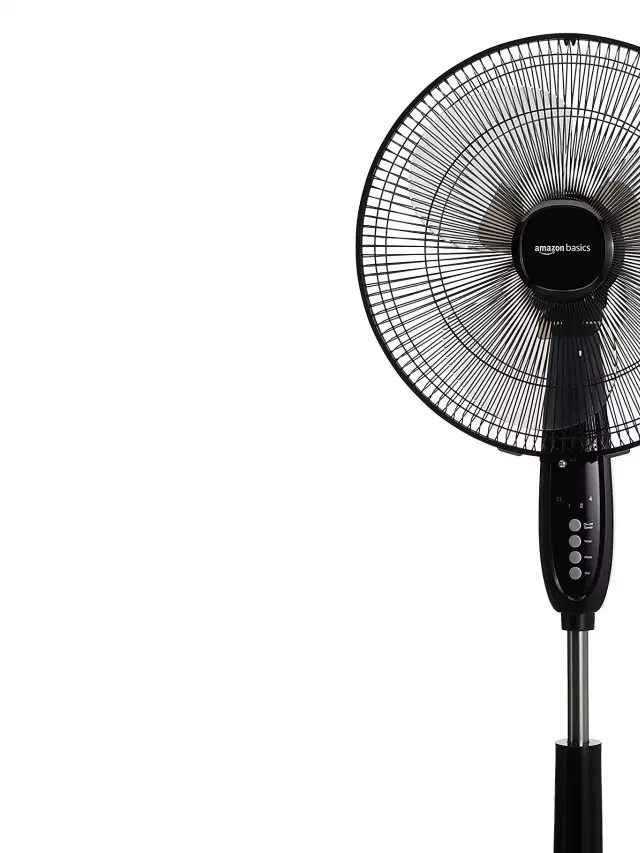   Best Pedestal Fans: Stay Cool and Comfortable in 2024