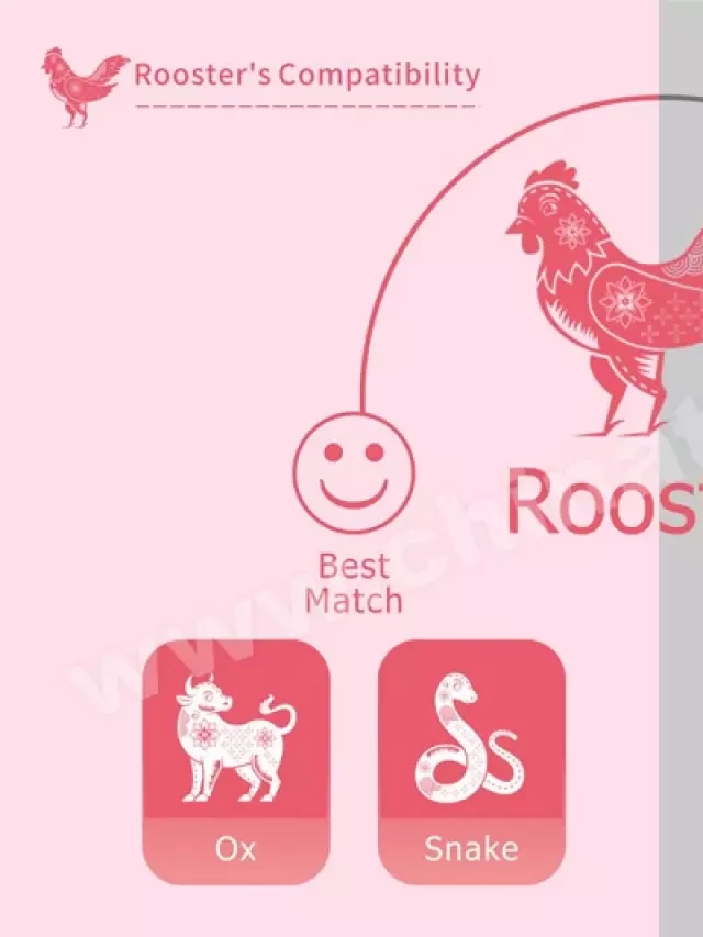   Year of the Rooster: Personality Traits and Predictions for 2024