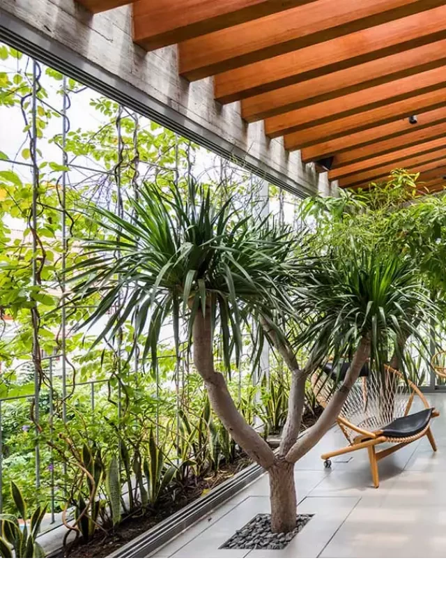   A Growing Trend: 7 Biophilic Interior Design Studios