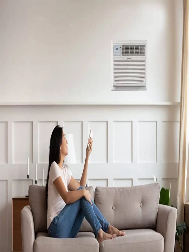   Chill Out: Best Wall AC Units of 2022