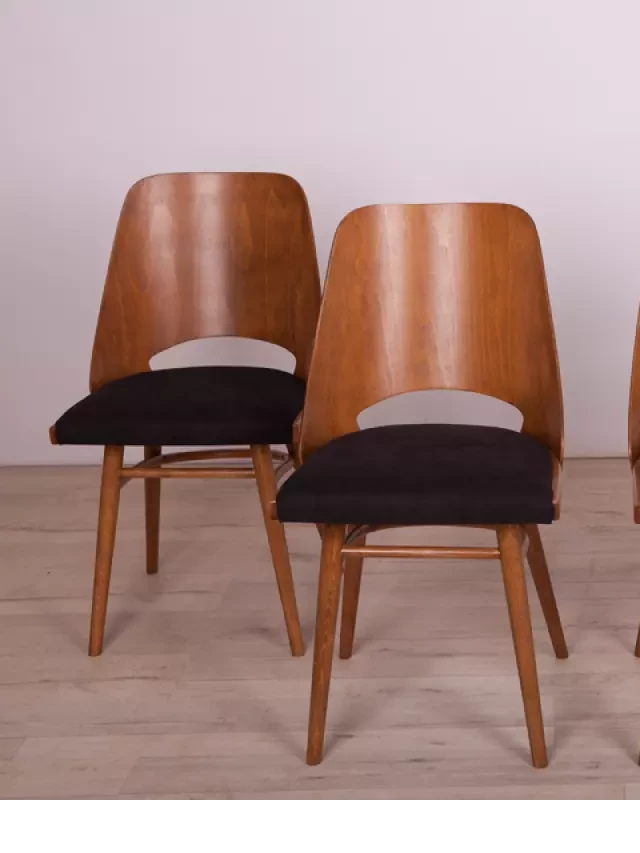   Iconic Mid-Century Modern Chair Designs: Exploring the Legends