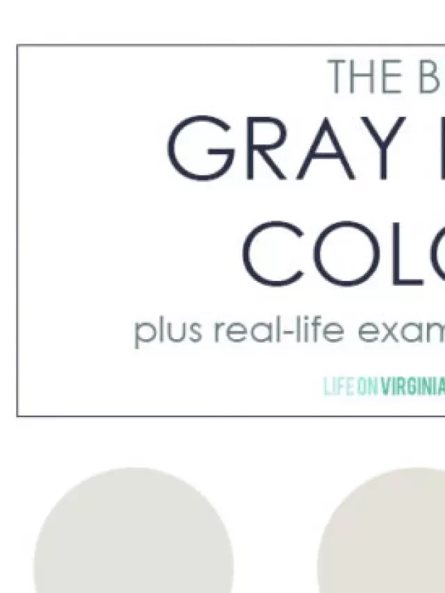   The Best Gray Paint Colors: Enhancing Your Home's Style with Elegance