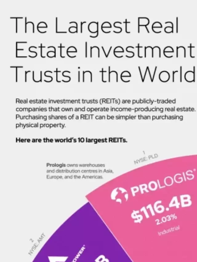   The World of Real Estate Investment Trusts (REITs): Exploring Growth and Opportunities