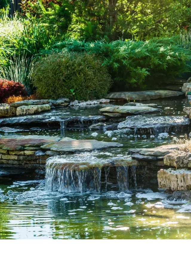   12 Backyard Water Features to Elevate Your Outdoor Living