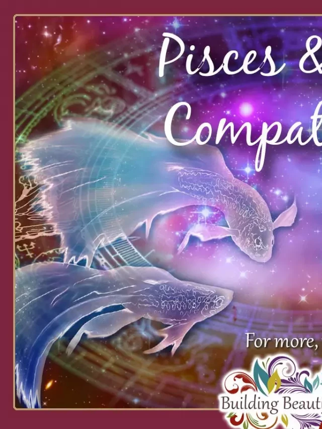   Virgo and Pisces Compatibility: A Mesmerizing Connection