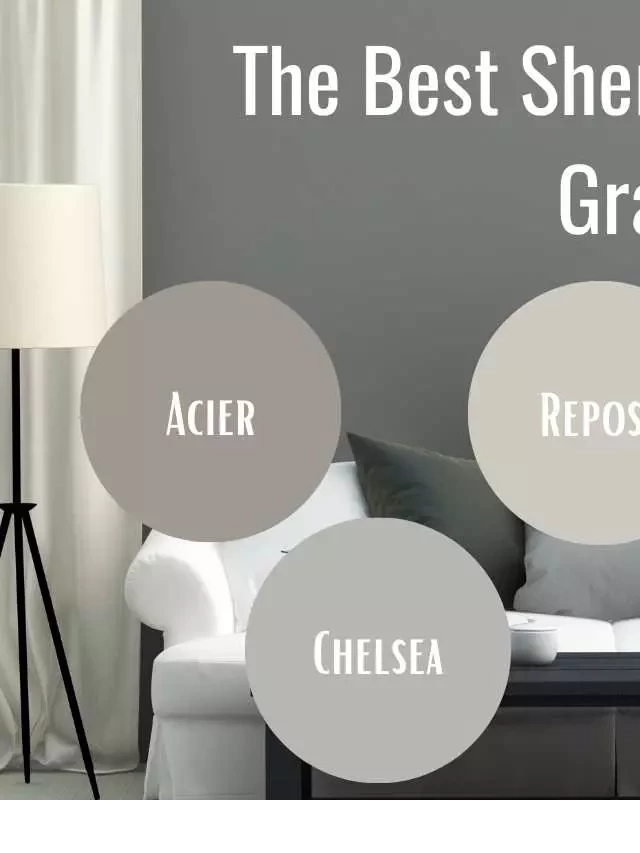   The Best Gray Paint Colors by Sherwin Williams