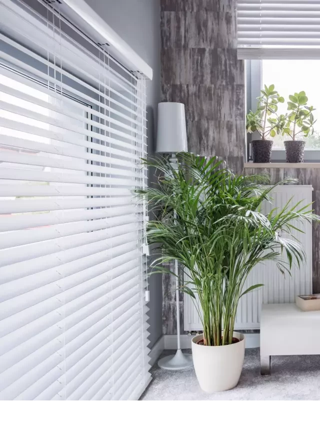   Blinds vs. Shades: Choosing the Perfect Window Coverings