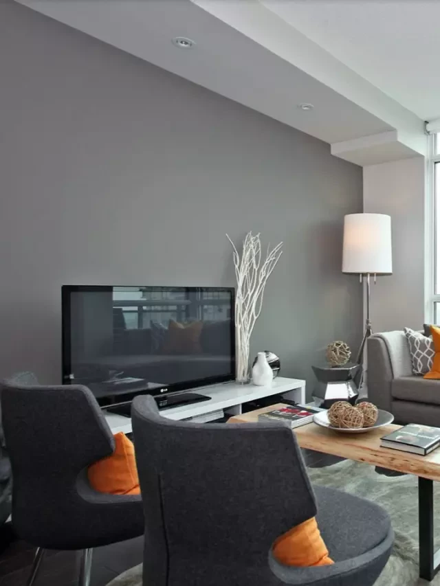   Grey Accent Wall Ideas for Your Living Room and Bedroom