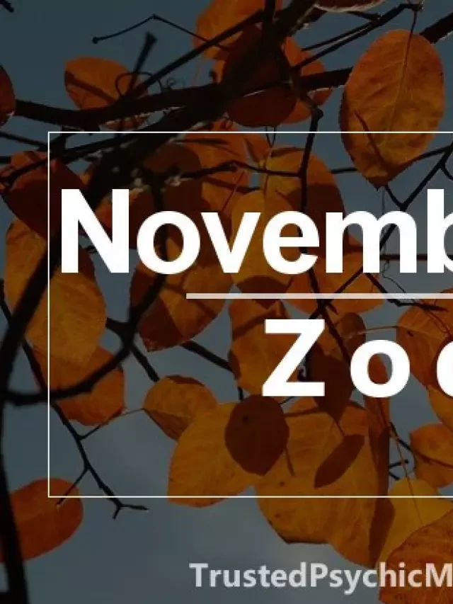   Unleash Your Creative Energy: The November 12 Zodiac