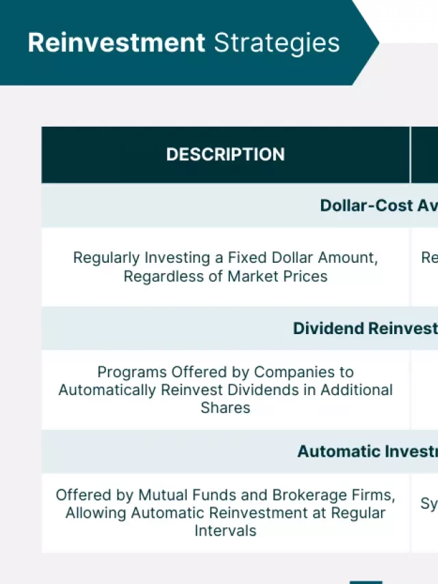   Reinvestment: Maximizing Returns and Accelerating Growth