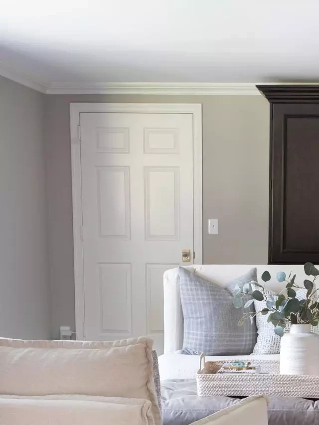   Sherwin Williams Anew Gray: A Perfect Greige Paint Color!