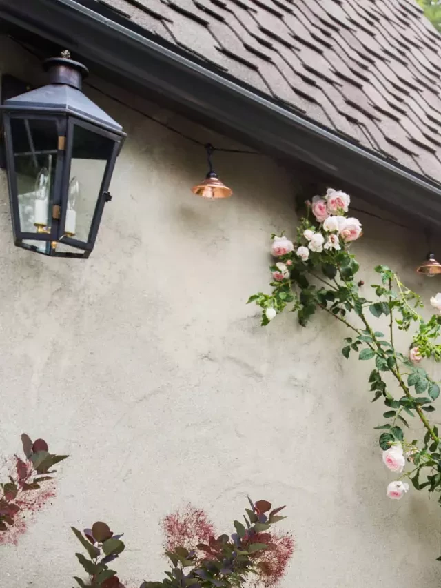   The Finished Patio: A Stylish Outdoor Oasis