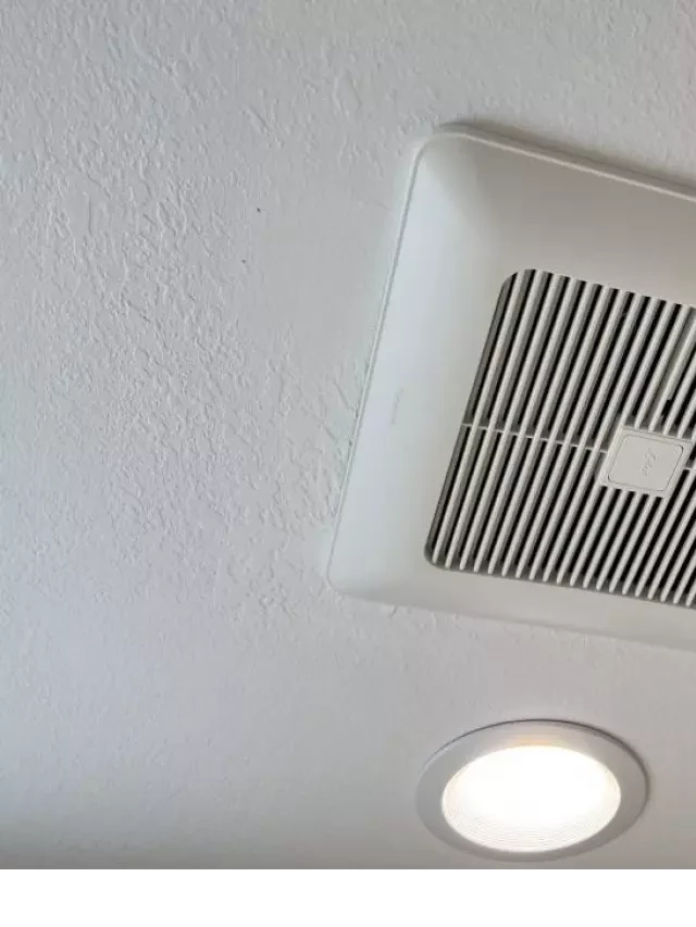   What Bathroom Exhaust Fans Actually Do