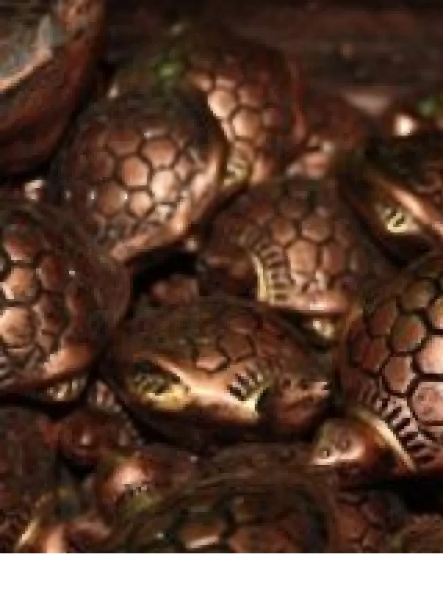   The Magic of Feng Shui Turtles: Enhancing Energy and Attracting Prosperity